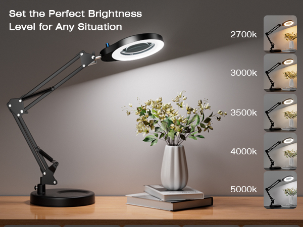 Set the Perfect Brightness Level for Any Situation