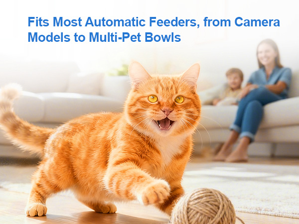 pet food desiccant bag