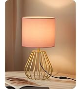 GOEBLESON Pink and Gold Table Lamp, Small Bedside Lamp with Metal Base &amp; Pink Linen Lampshade, Mo...