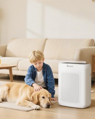 air purifiers for home