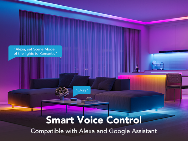 H618A Voice Control