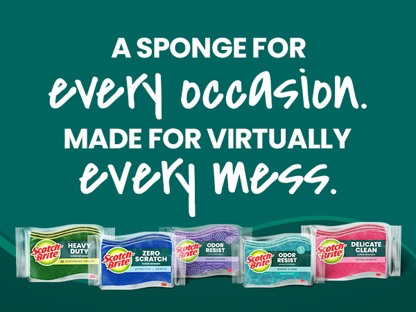 a sponge for every occasion made for virtually every mess