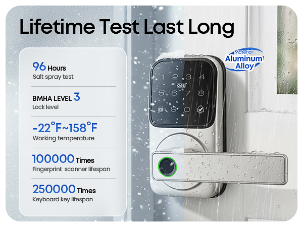 Smart Door Lock with Handle