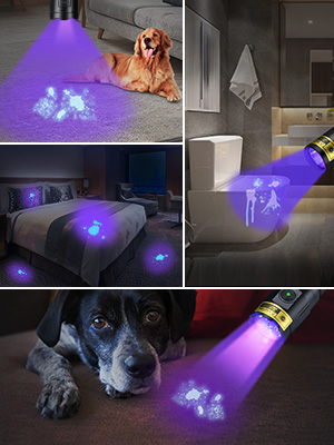 black light flashlight