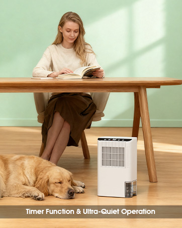 dryer dehumidifier dehumidifier for cold weather dehumidifier for basement with timer white