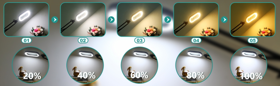 adjustable illumination magnifying lamp