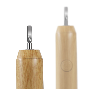 Sustainable by Design?