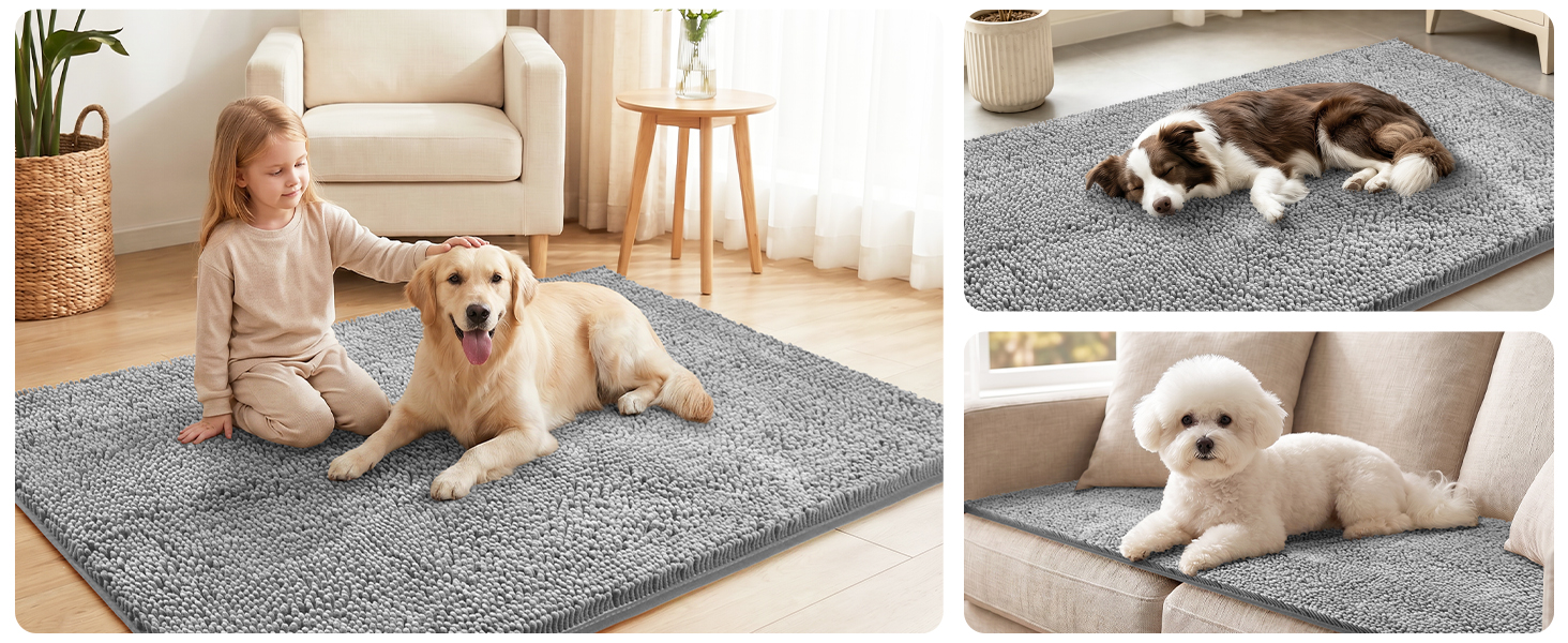 100pointONE Dog Door Mat for Muddy Paws