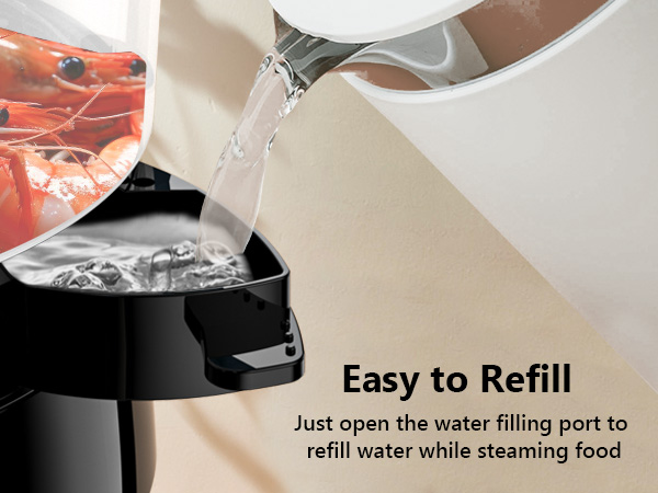 eletric food steamer