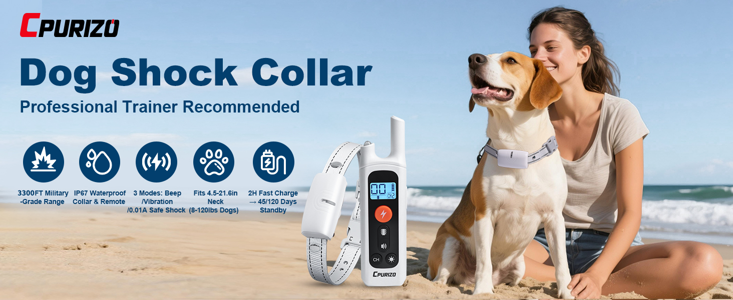 shock collar for dog