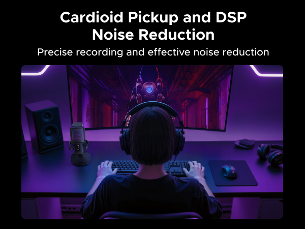 recording microphone