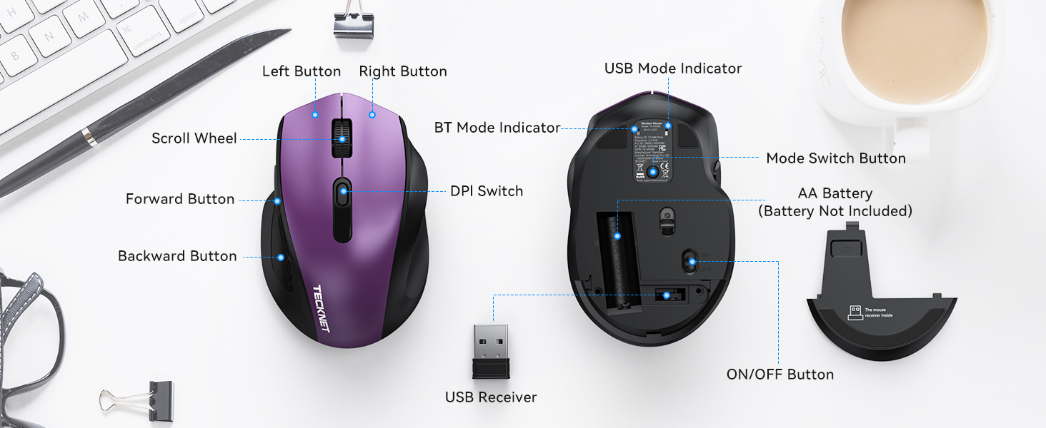 mouse