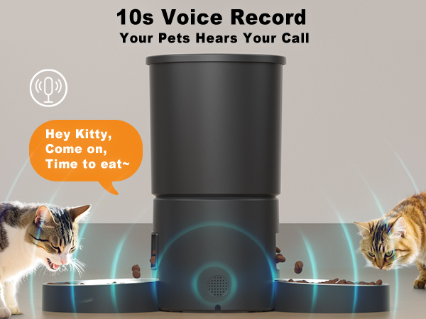 automatic dual cats feeder