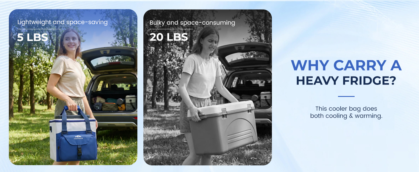 electric car cooler
