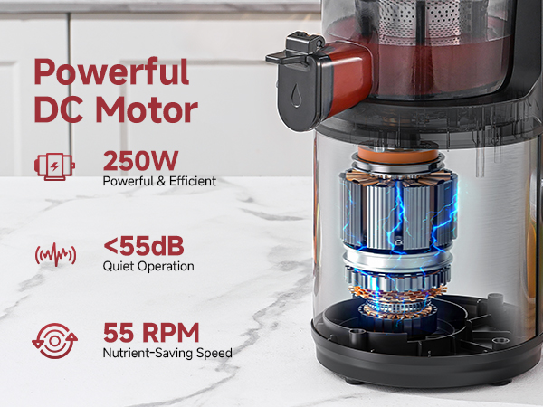 cold press juicer