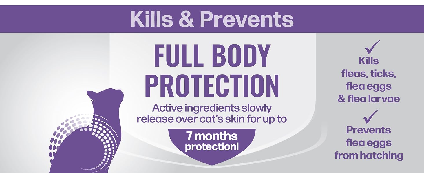 Full Body Protection