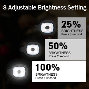 adjustable brightness