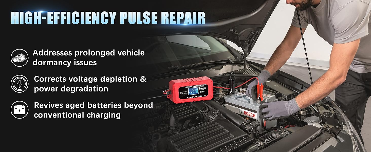 trickle charger for car battery 12v