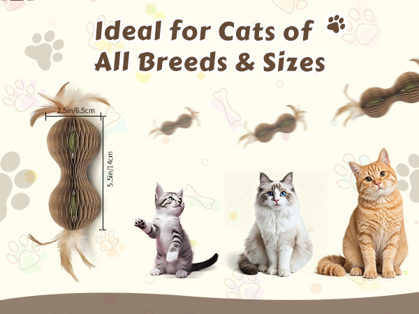 feather toys for kitten
