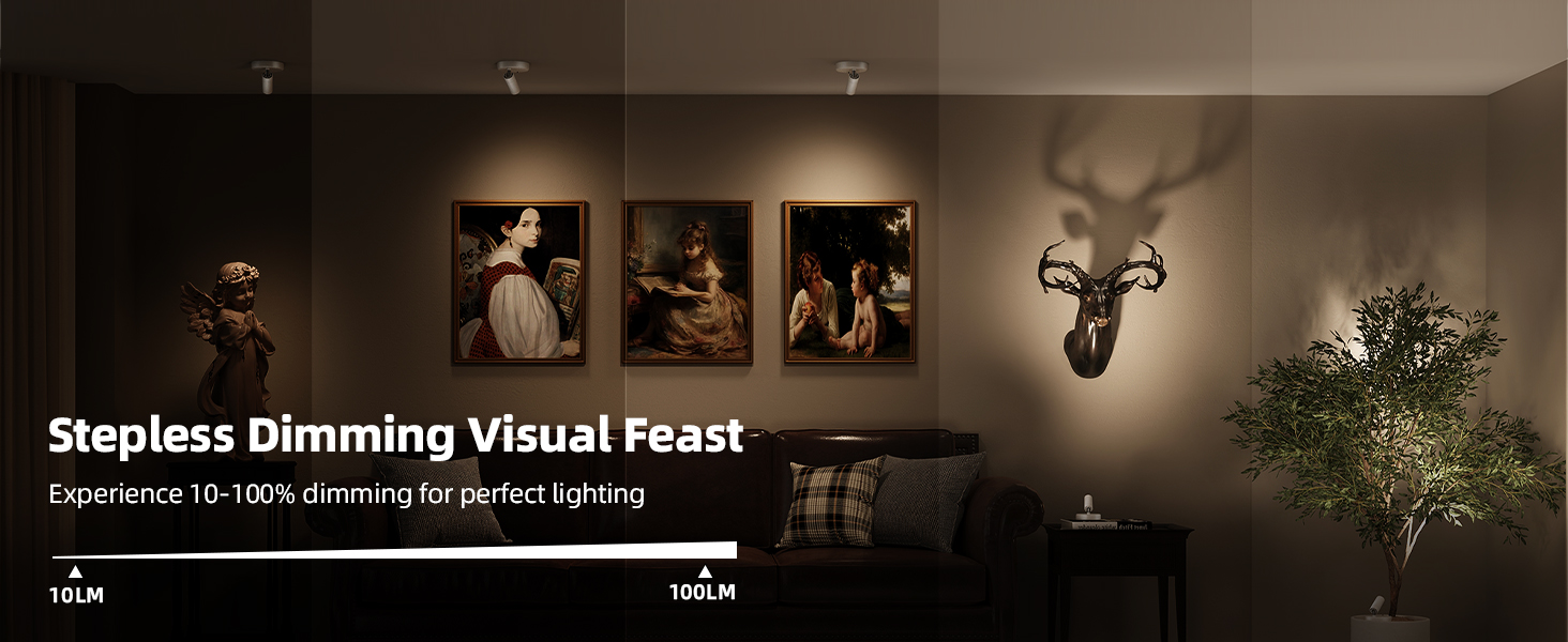 plant spotlight indoor