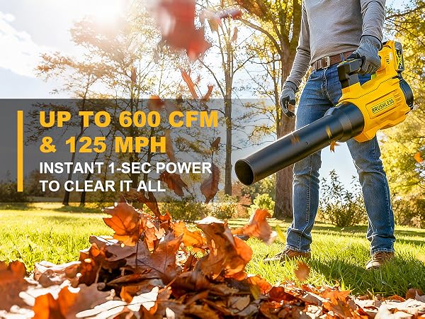 dewalt blower