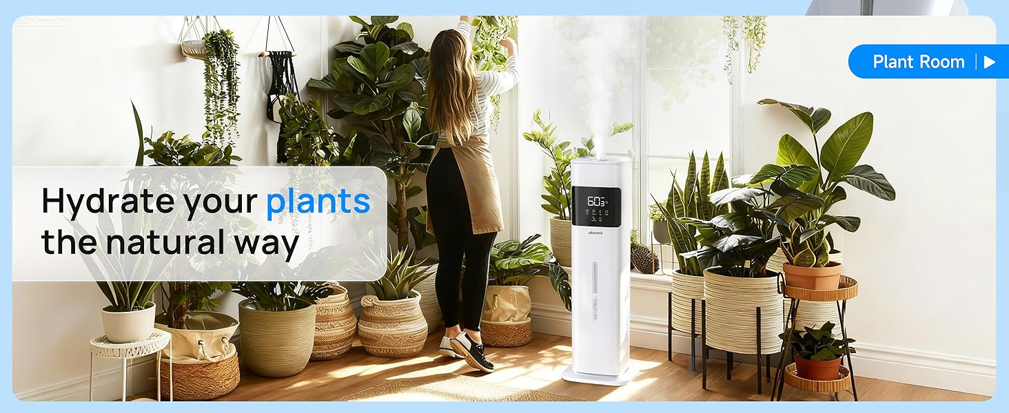 humidifier for plants