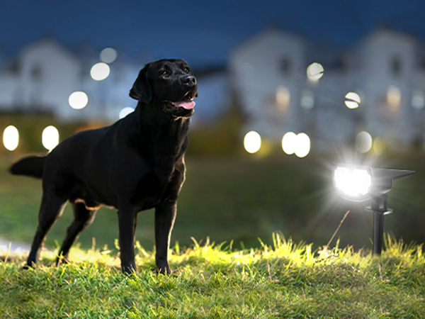 solar lights outdoor motion sensor