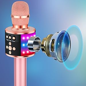 microphone for singing