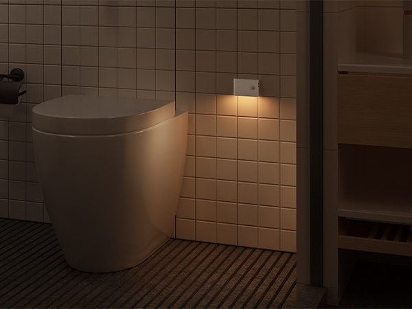 motion sensor toilet light