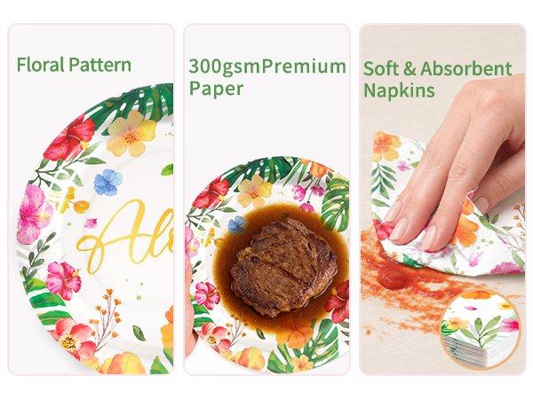 paper plate and napkins