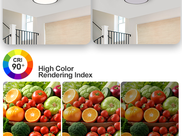 ceiling mount lights