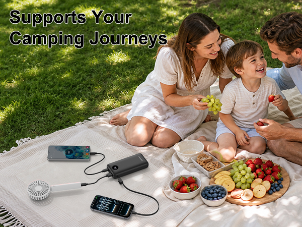 portable battery charger