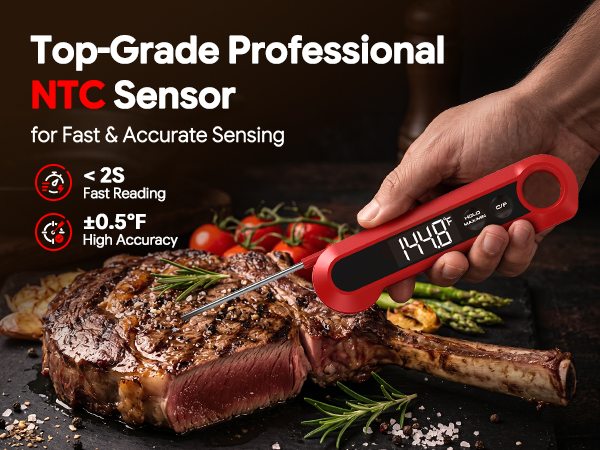 digital meat thermometer