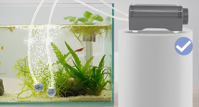 installation of the air pump 1