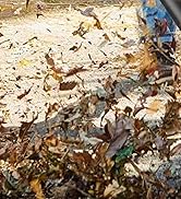 Cordless Leaf Blower Compatible with Dewalt 20V Max Battery Ultra Lightweight Leaf Blowers Up to ...