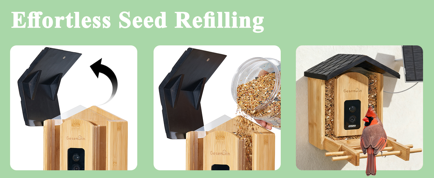 backyard bird feeder camera