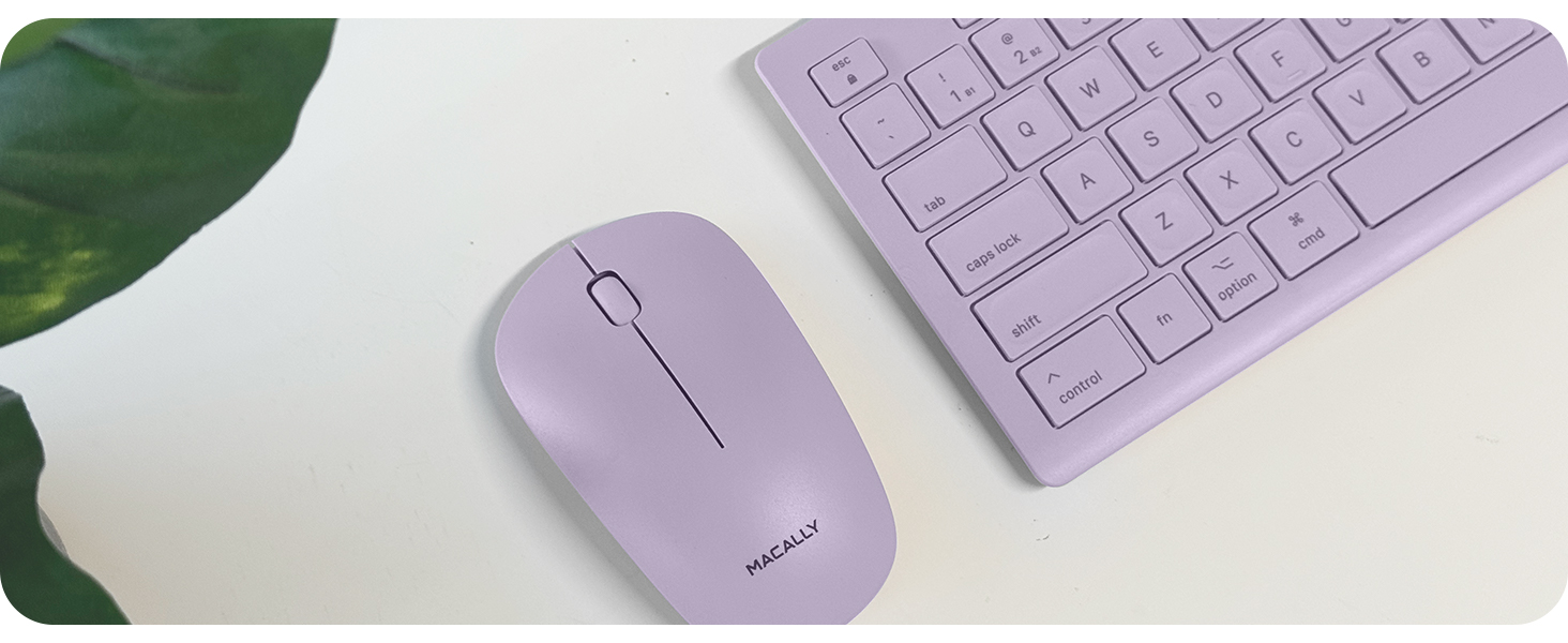 BTSLKEYPUCB (Premium A+)