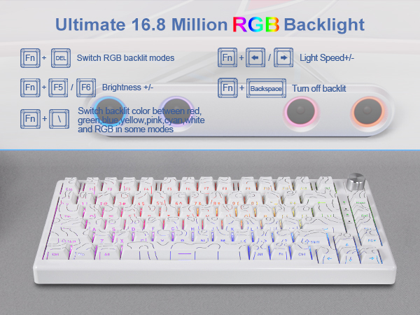 rgb backlit