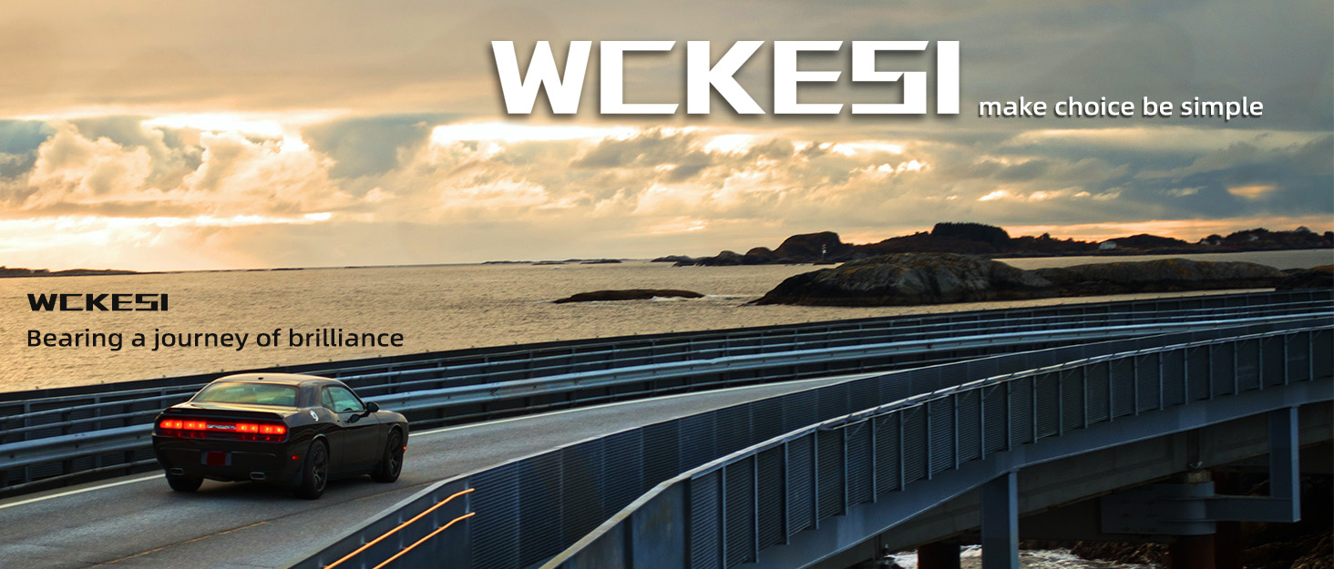 WCKESI Magsafe phone mount