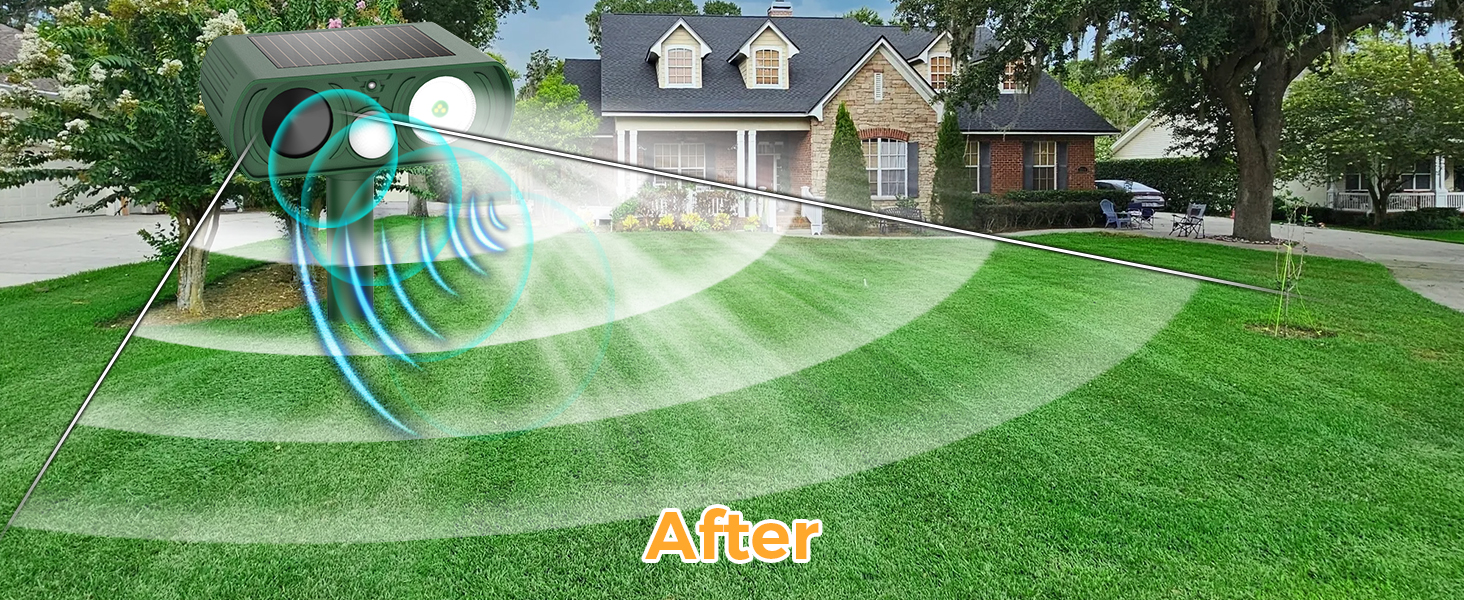 skunk repellent for yard