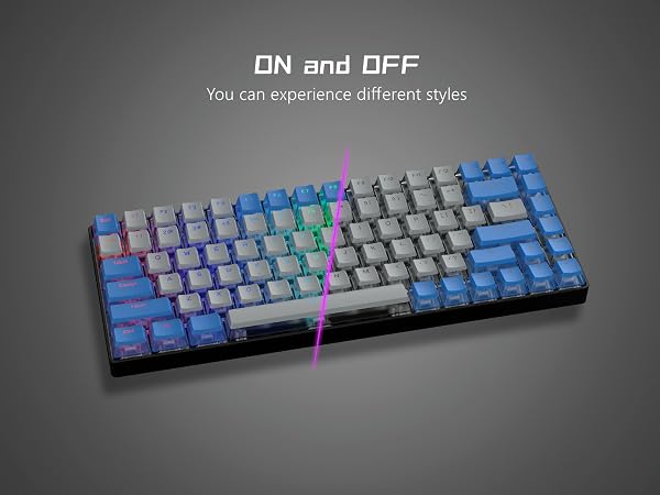 ewdfs