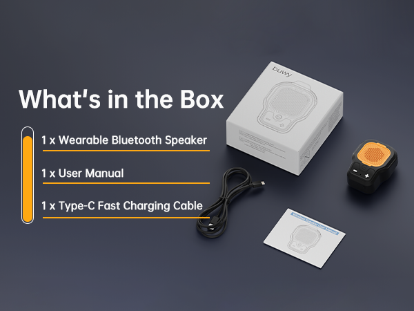 portable speaker