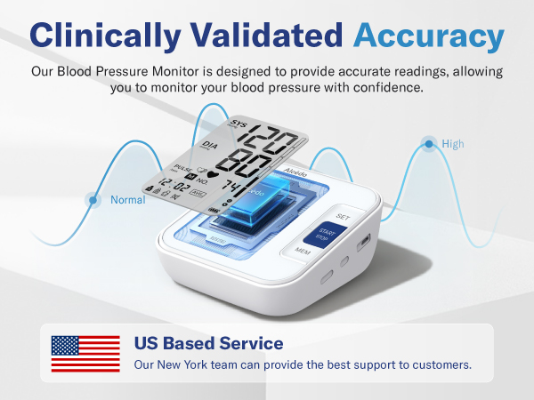 Blood Pressure Monitor B21