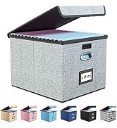 Upgrade Portable File Organizer Box with Lids, Huolewa Collapsible Linen Hanging Filing Storage B...