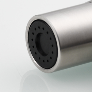 side sprayer head