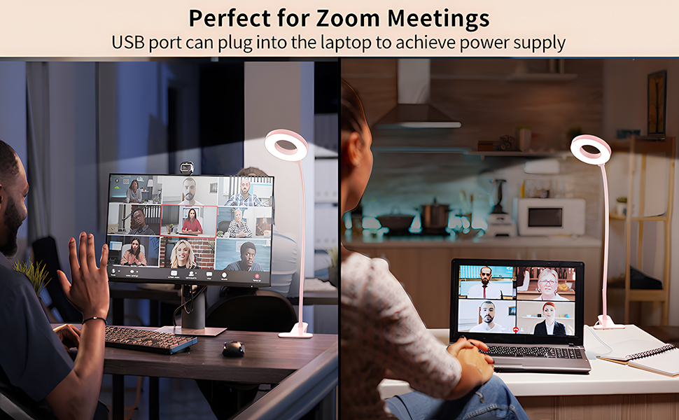 video conference light
