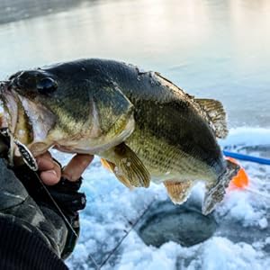bass fishing