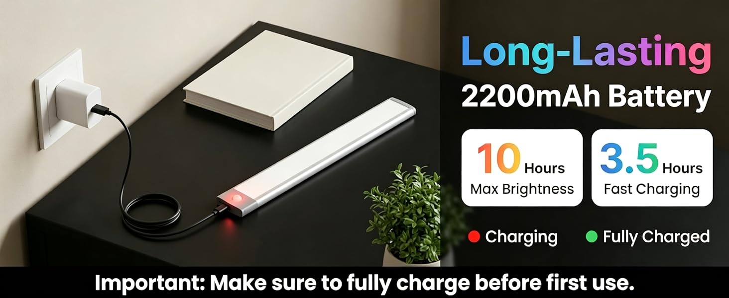 Large Battery