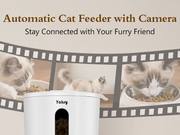 automatic cat feeder