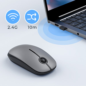 gray mouse